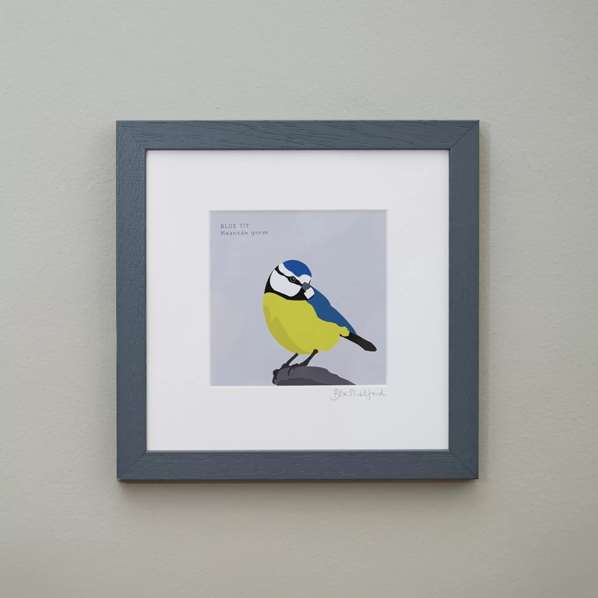 Wall Art & Picture Frames>Meadows and Byrne Bex Shelford - Blue Tit - Framed