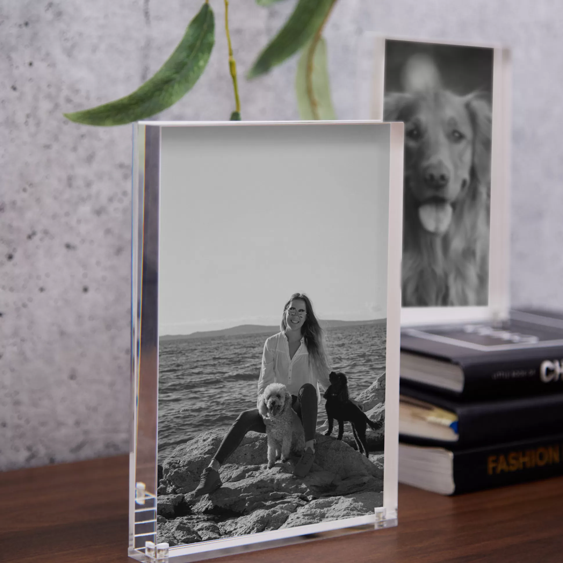 Wall Art & Picture Frames>Meadows and Byrne Catch Frame Clear 4 X 6