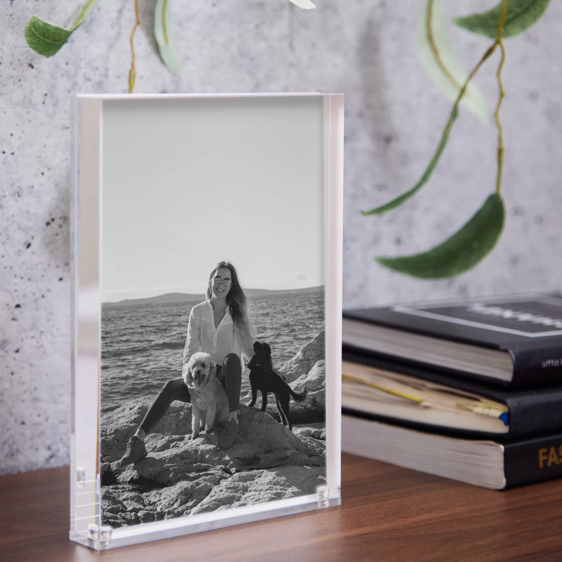 Wall Art & Picture Frames>Meadows and Byrne Catch Frame Clear 5 X 7