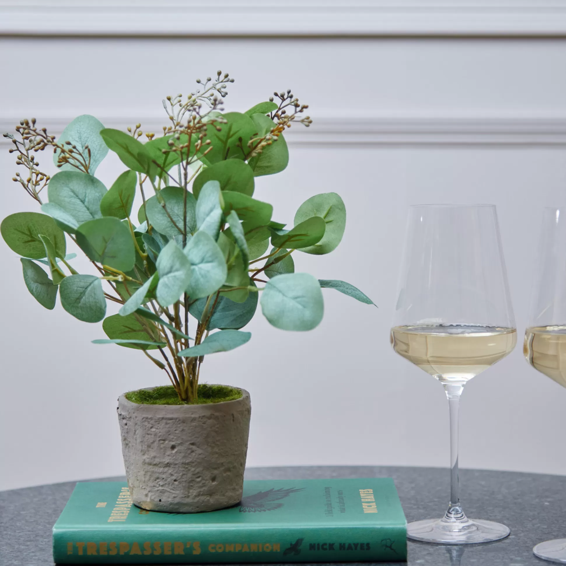 Artificial Flowers & Garlands>Meadows and Byrne Eucalyptus Potted Plant