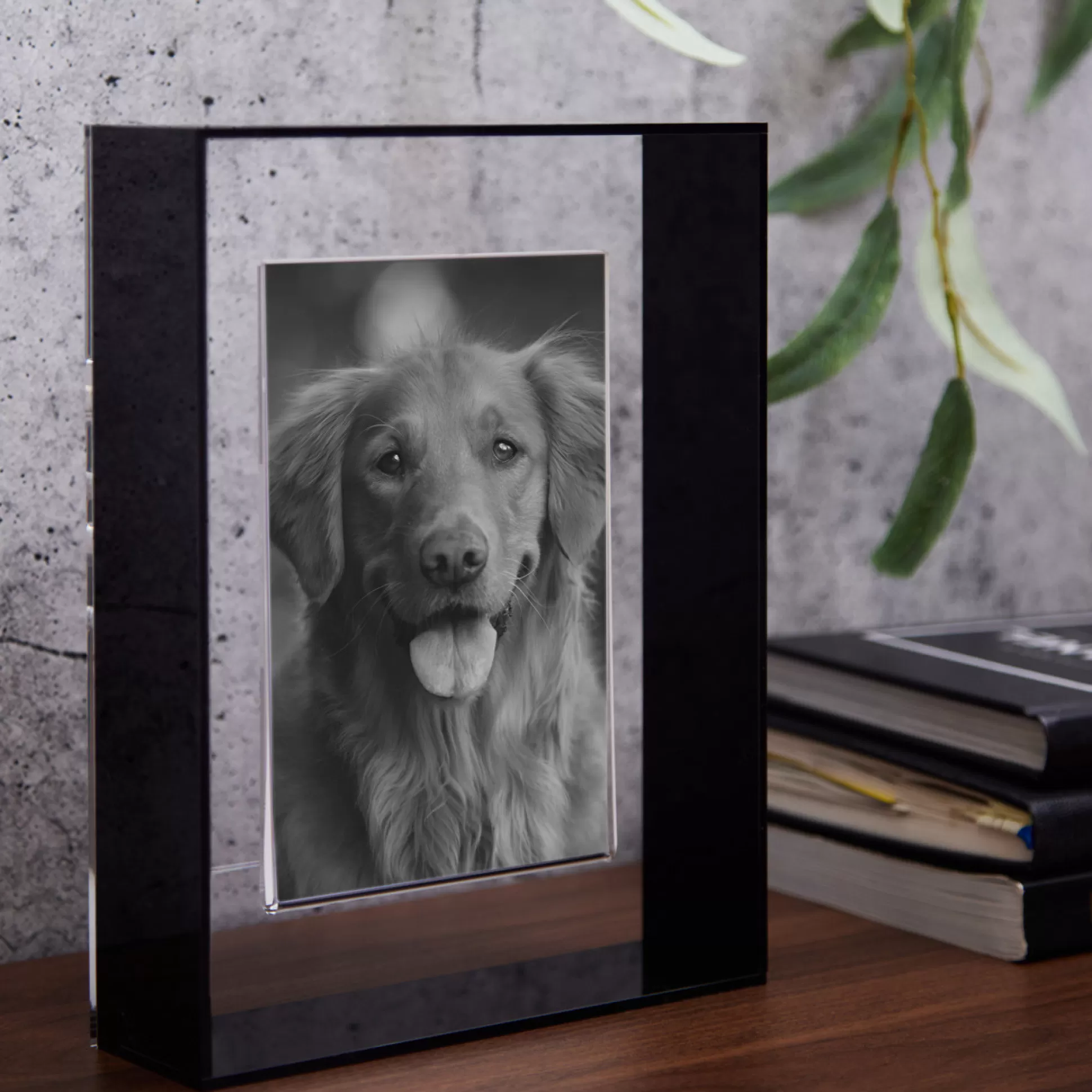 Wall Art & Picture Frames>Meadows and Byrne Floating Frame Black 4 X 6
