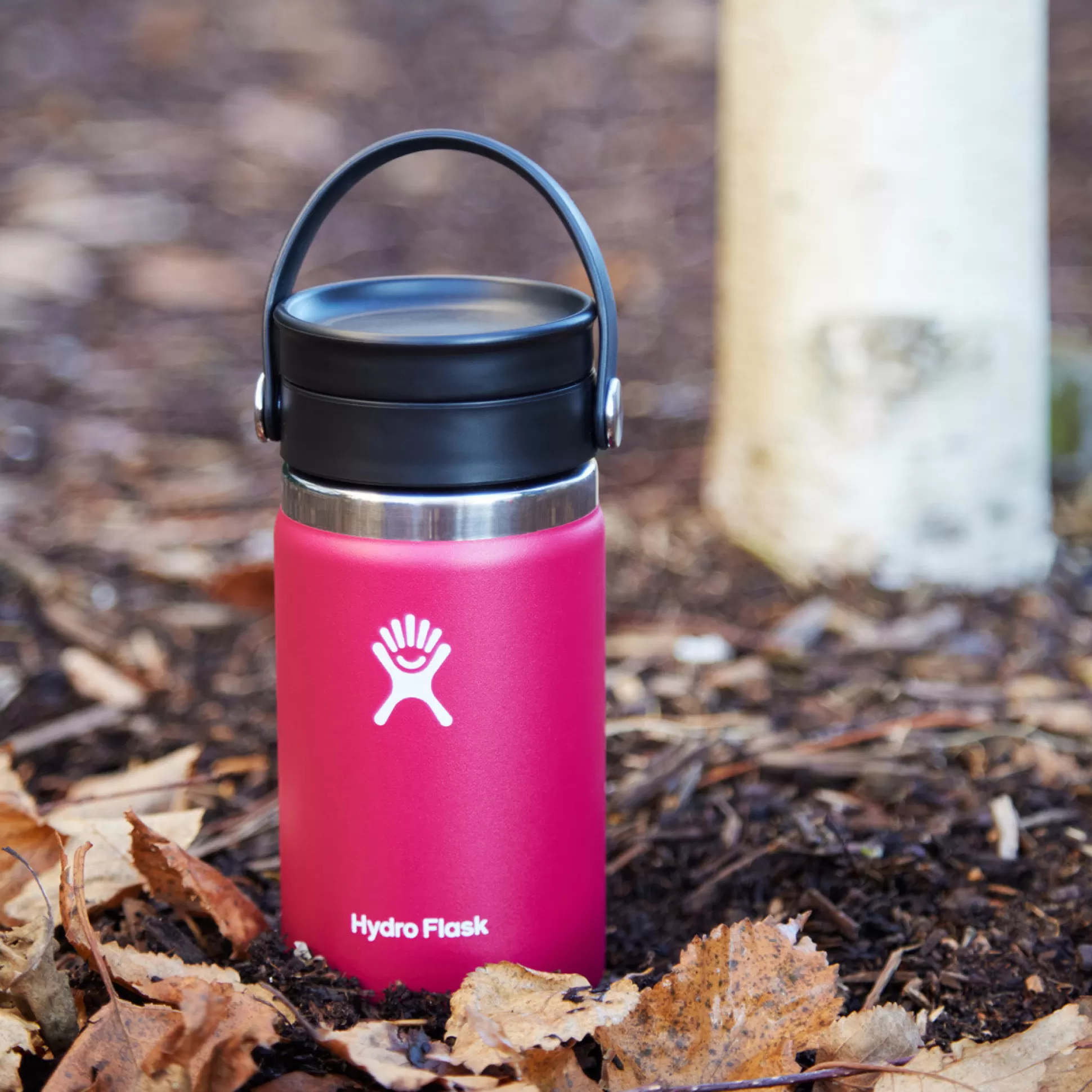 Travel Flasks & Picnic>Meadows and Byrne Hydro Flask 12 Oz Coffee Cup With Flex Sip Lid - Snapper