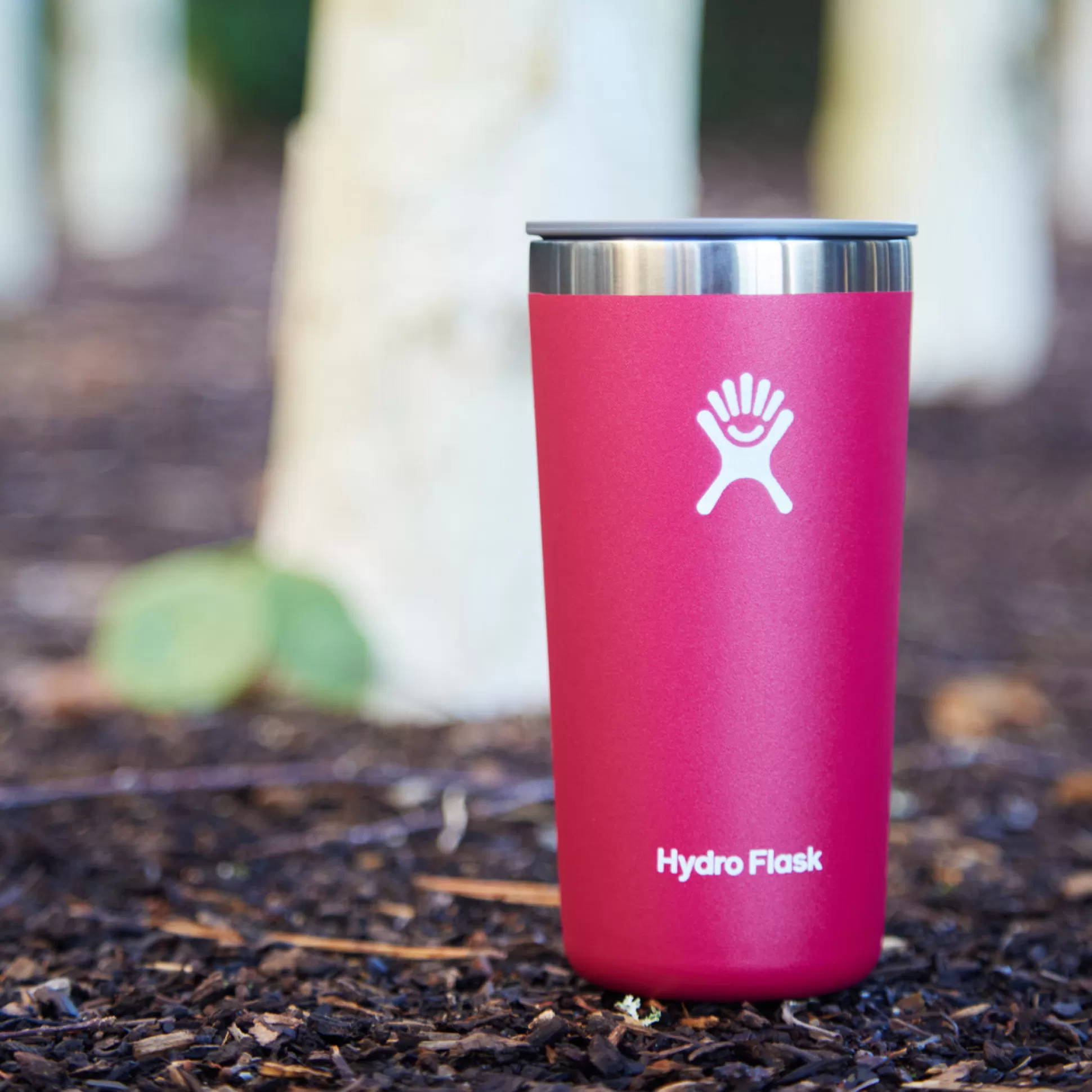 Travel Flasks & Picnic>Meadows and Byrne Hydro Flask 12Oz All Around Tumbler Snapper