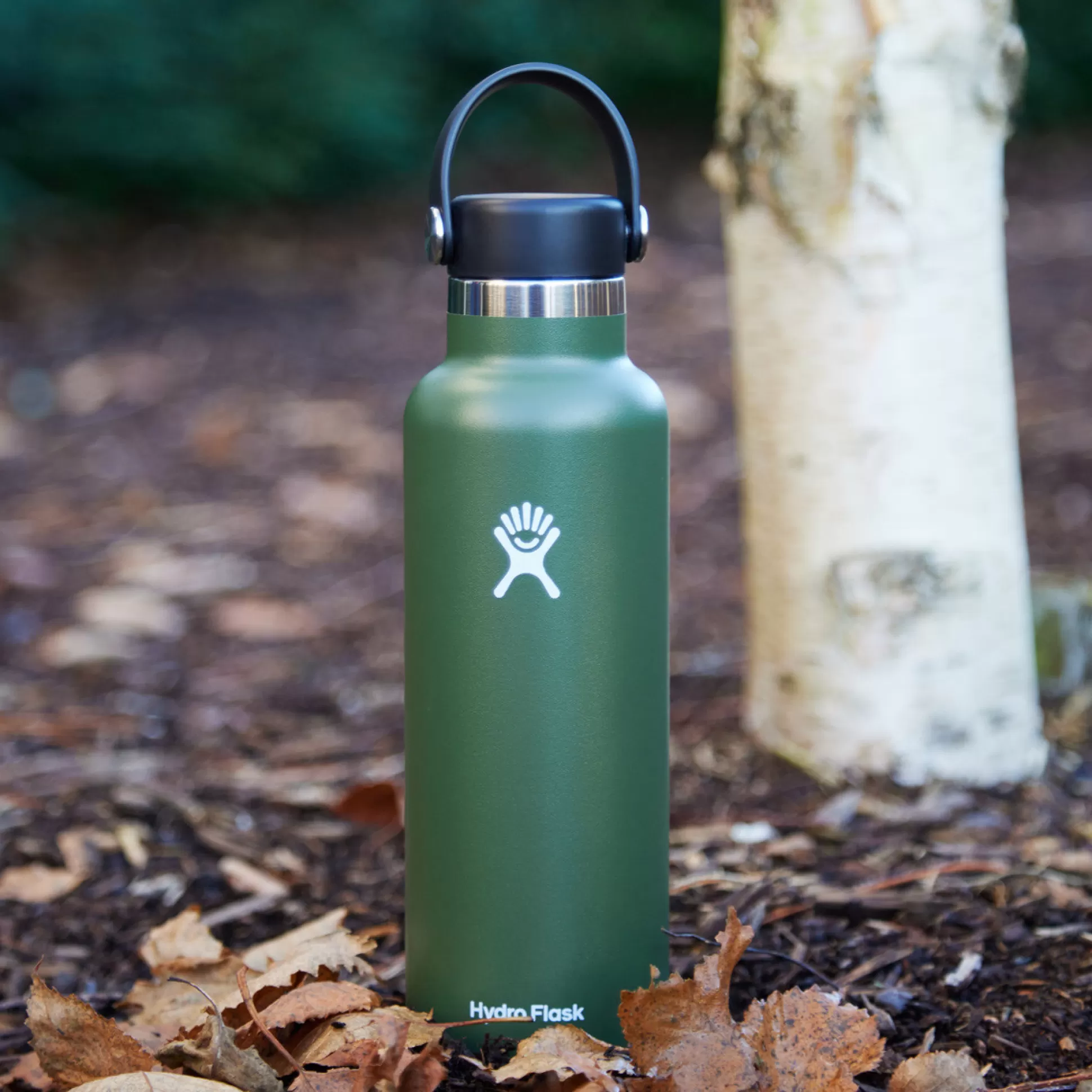 Travel Flasks & Picnic>Meadows and Byrne Hydro Flask 21 Oz Standard Mouth Flex Cap Water Bottle - Olive