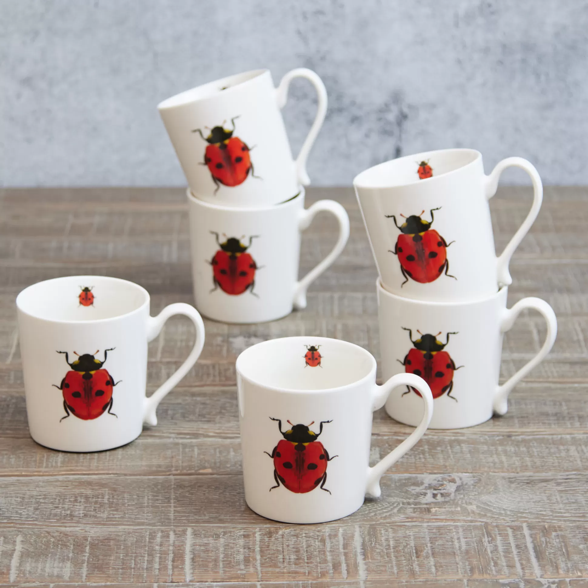 Mugs>Meadows and Byrne Ladybird Mug - Set Of 6