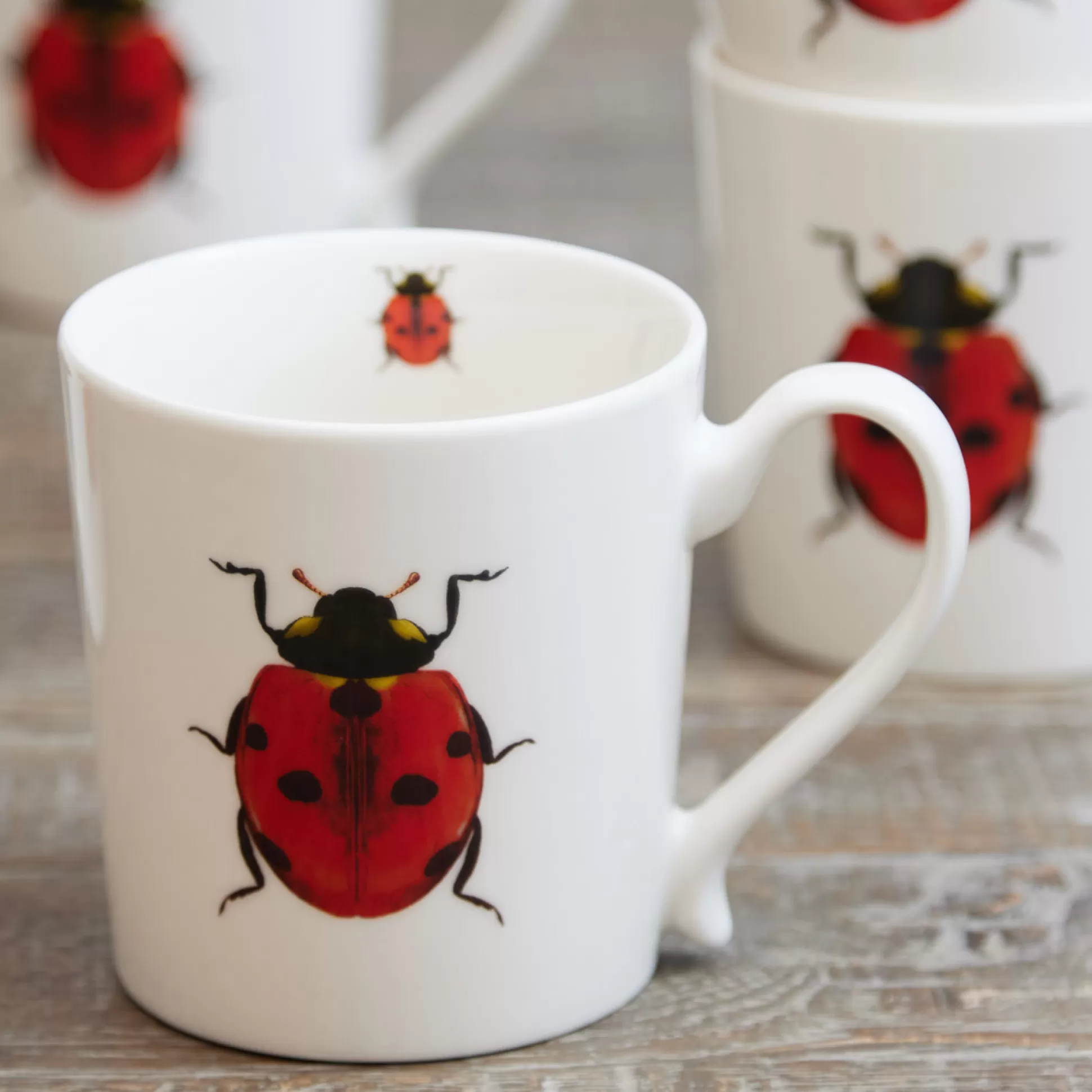Mugs>Meadows and Byrne Ladybird Mug - Set Of 6