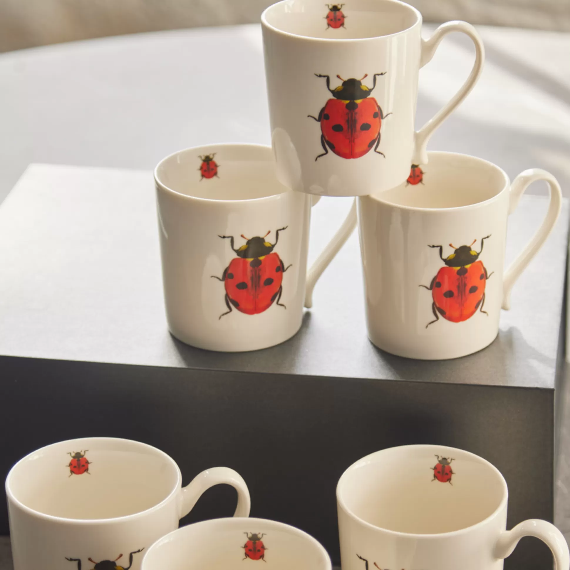Mugs>Meadows and Byrne Ladybird Mugs In Gift Box - Set Of 6