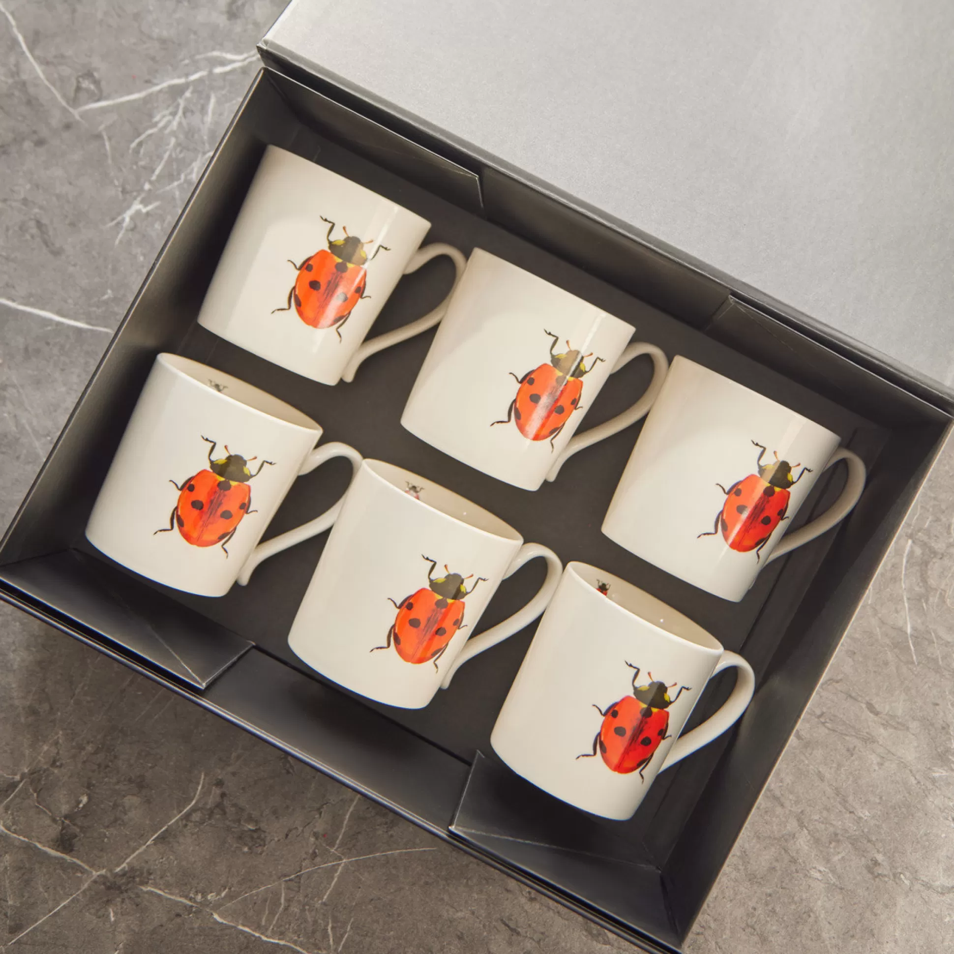 Mugs>Meadows and Byrne Ladybird Mugs In Gift Box - Set Of 6