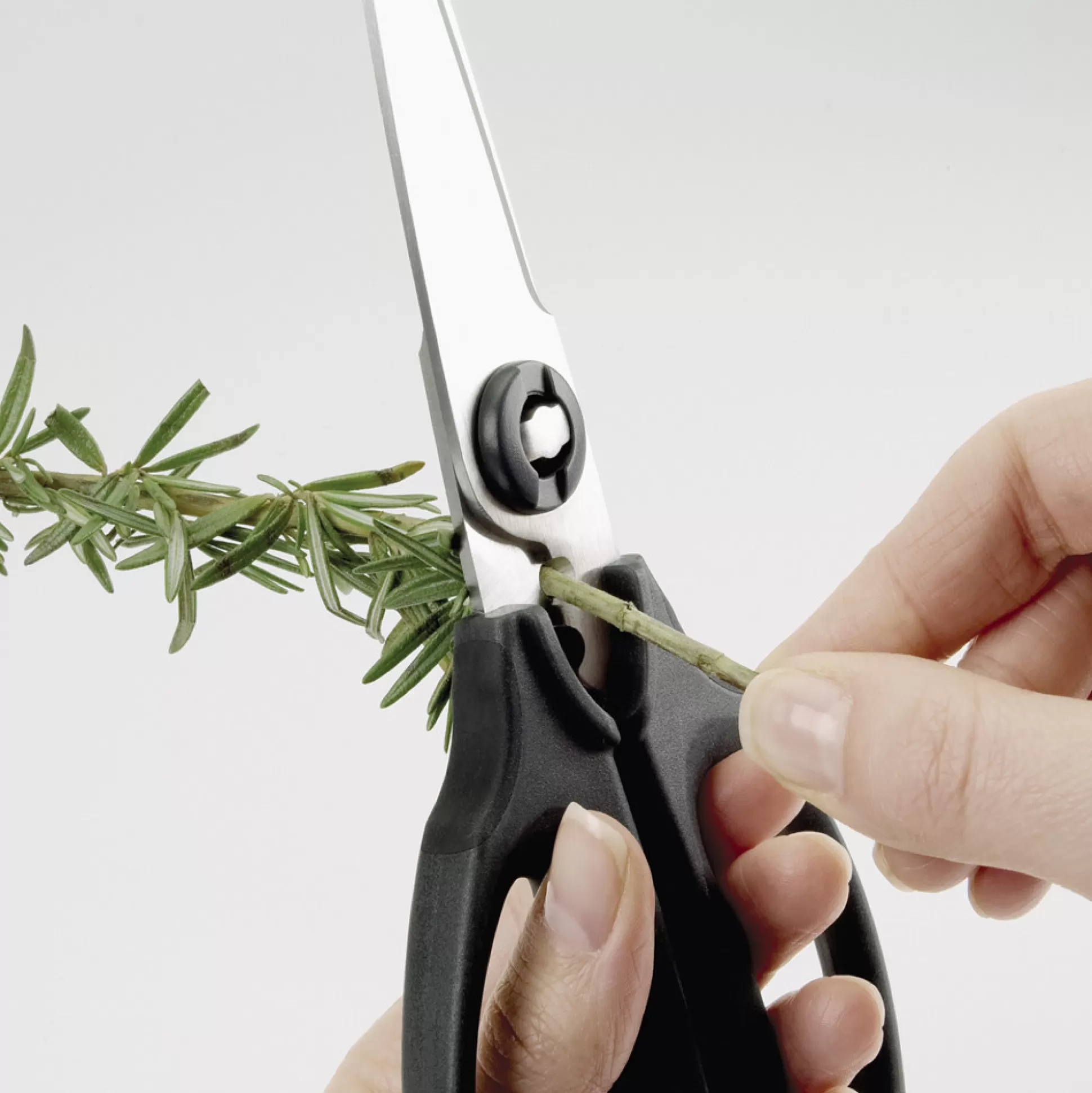 Kitchen Utensils & Accessories>Meadows and Byrne Oxo Kitchen - Herb Scissors