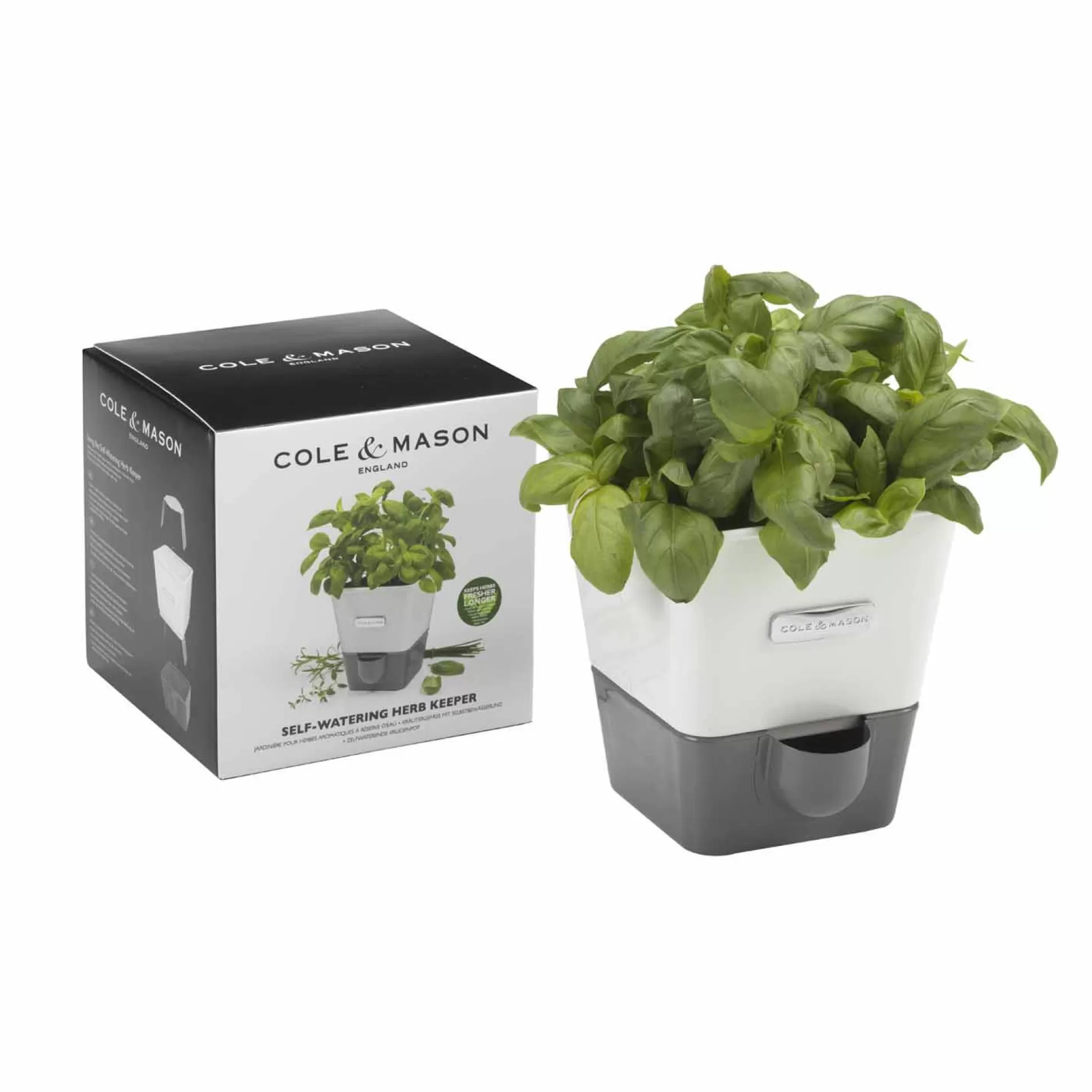 Kitchen Utensils & Accessories>Meadows and Byrne Self-Watering Herb Keeper
