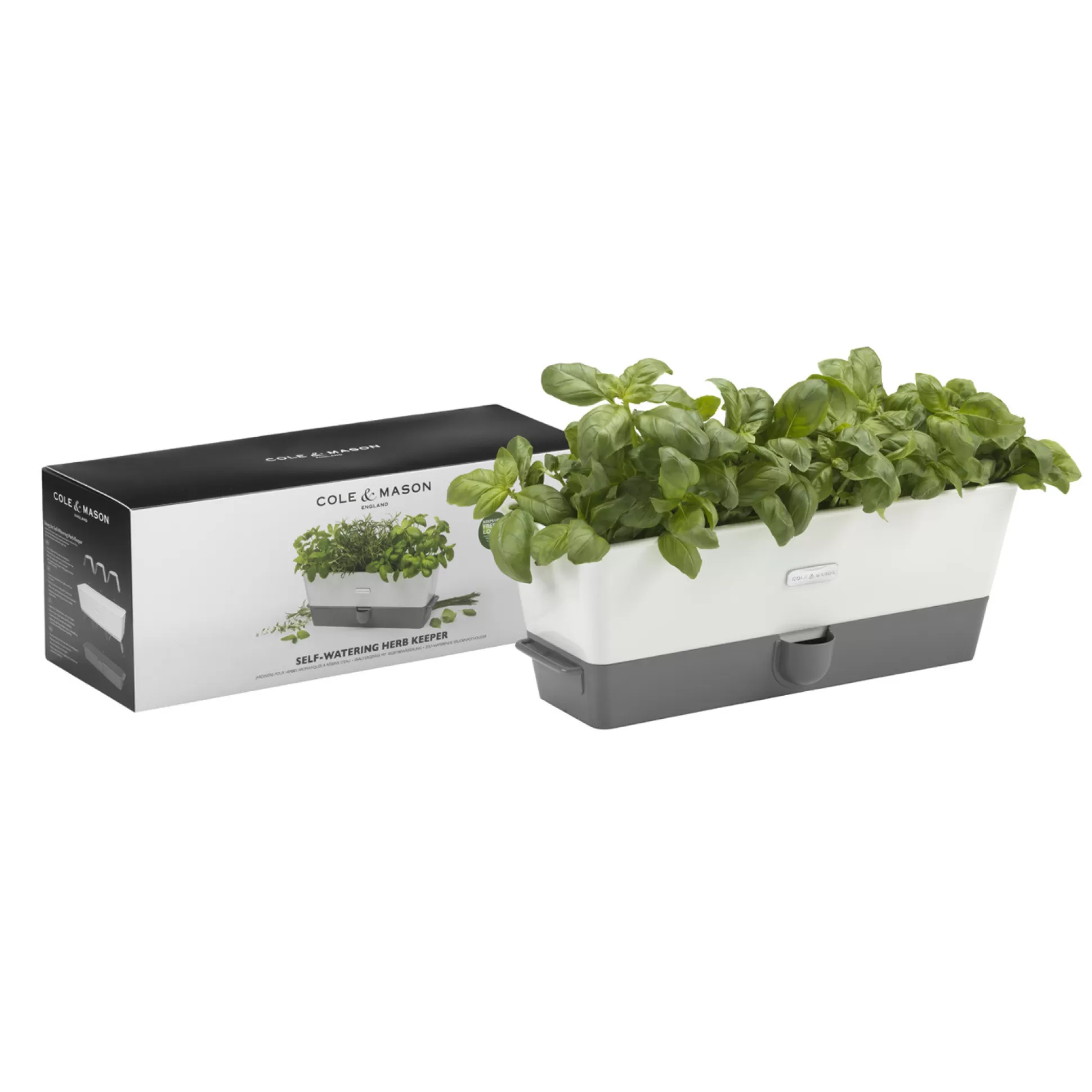 Kitchen Utensils & Accessories>Meadows and Byrne Triple Self-Watering Herb Keeper